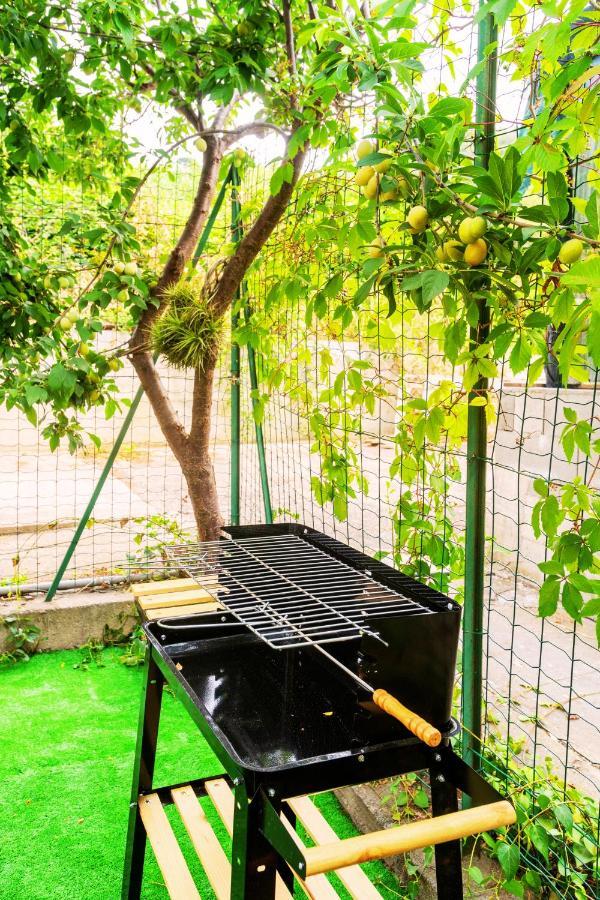 Apartamento Mare - Ciclabile Giardino E Parcheggio Gratuito *